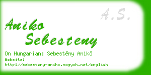 aniko sebesteny business card