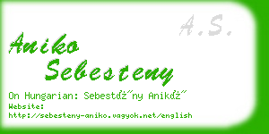 aniko sebesteny business card